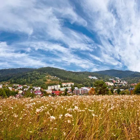Piastun Spa&wellness Krynica-zdroj * Крыница-Здруй