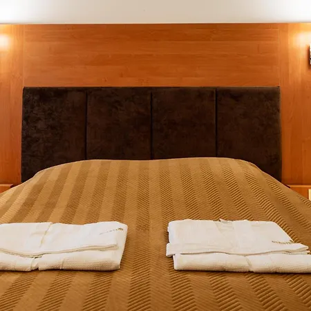 Piastun Spa&wellness Krynica-zdroj База отдыха