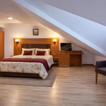 Piastun Spa&wellness Krynica-zdroj Krynica-Zdrój